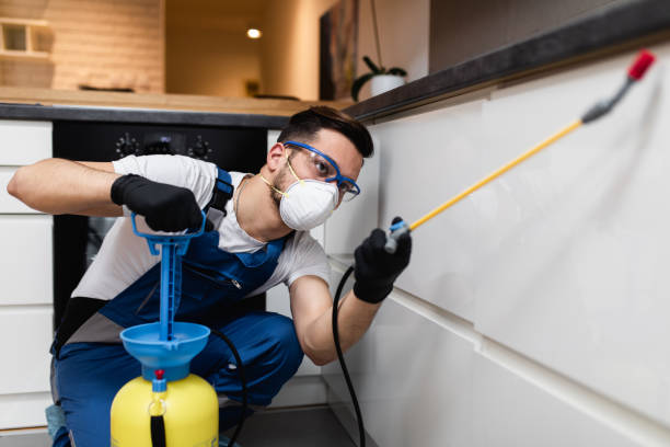 Best Best Pest Control Companies  in Underwood, IA