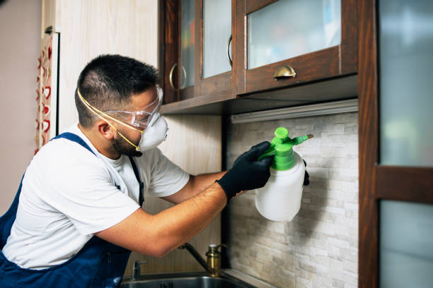 Best Flea Control Services  in Underwood, IA