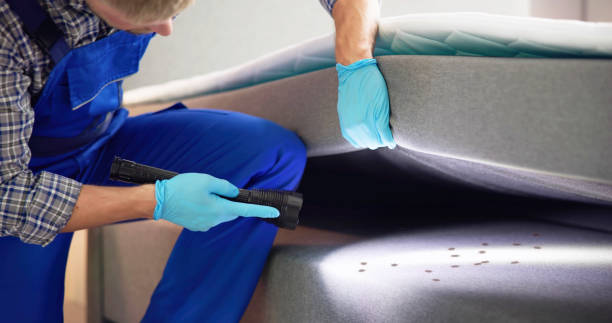 Best Pest Prevention Services  in Underwood, IA