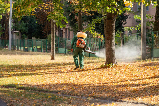 Best Residential Pest Control  in Underwood, IA