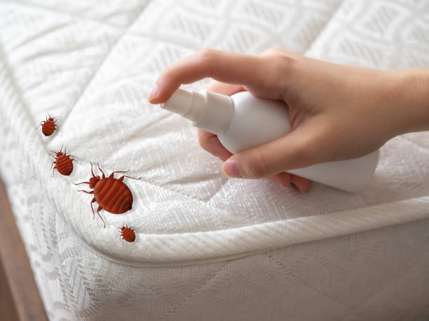 Best Pest Control Treatment  in Underwood, IA