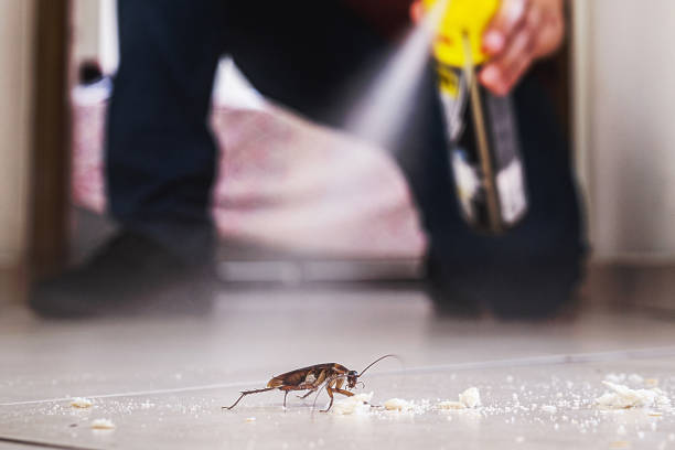 Best Insect Control  in Underwood, IA