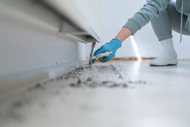 Best Residential Pest Control  in Underwood, IA