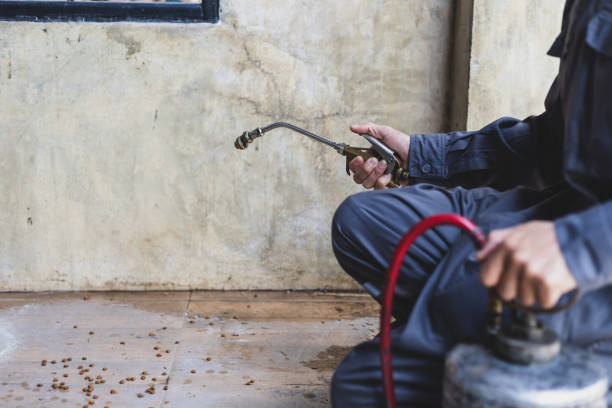 Best Pest Inspection Near Me  in Underwood, IA