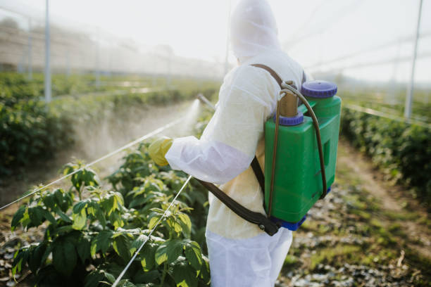 Best Wasp Removal Services  in Underwood, IA